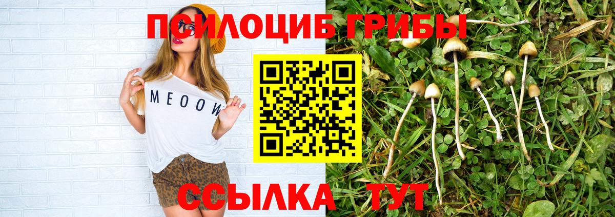 купить закладку  Псилоцибиновые грибы GOLDEN TEACHER  Вход с VPN  Камень-на-Оби 