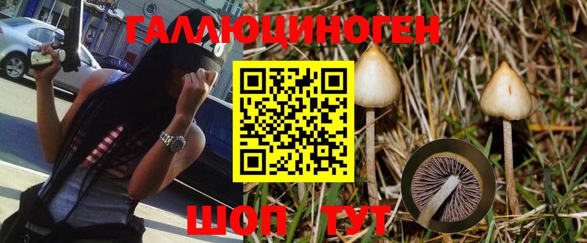 Галлюциногенные грибы Magic Shrooms Камень-на-Оби